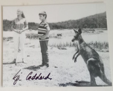 lisa goddard skippy the bush kangaroo 10x8 photo autograph