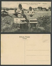 Portugal Bees Beekeepers Old Postcard Paia Agriculture School Odivelas, Students