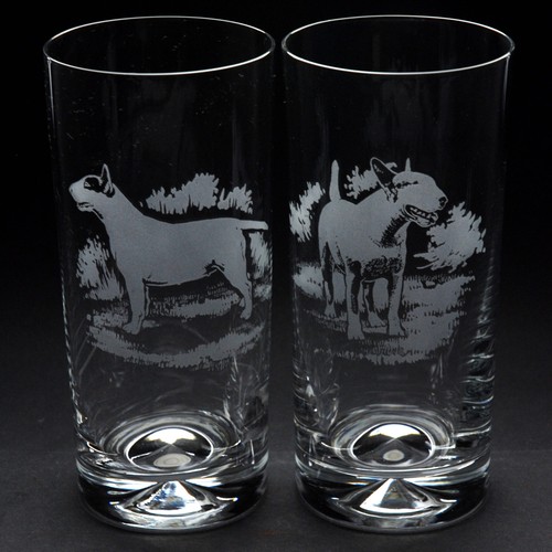 Bull terrier dog highball - bull,