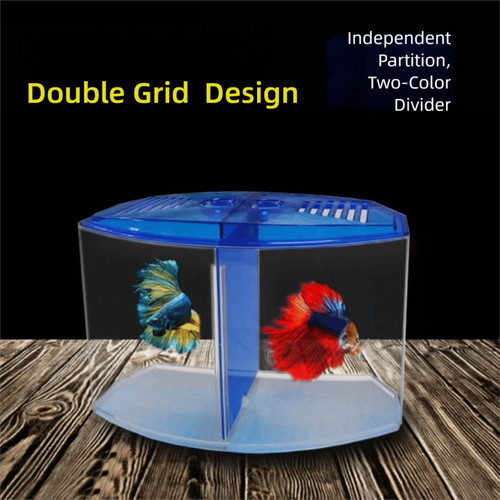 Transparent betta fish - fish, tank