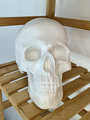 Human skull plaster art - "human, skull"