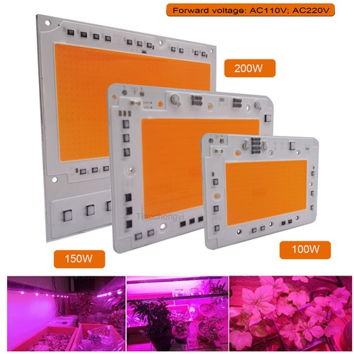 Cob led 100w 150w - 200w, 220v