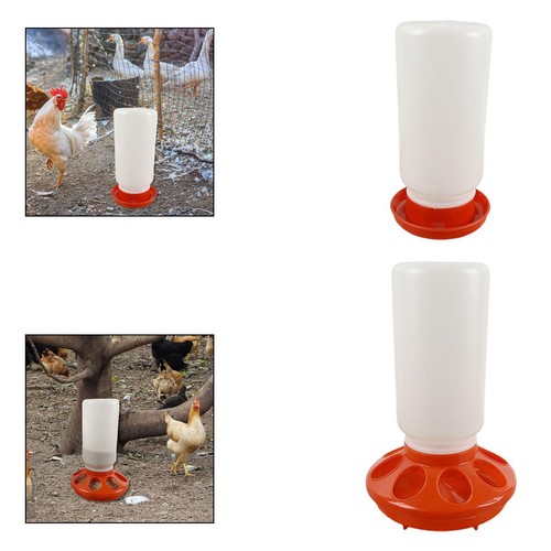 Quail feeder and waterer red - quail,