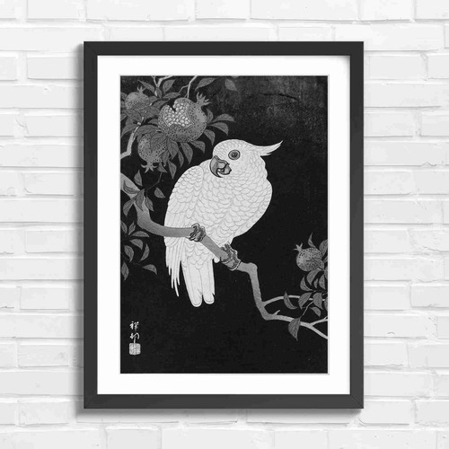 White cockatoo with - white,