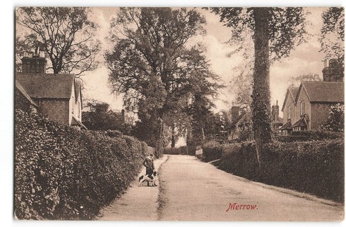 Merrow boy with dog - , street