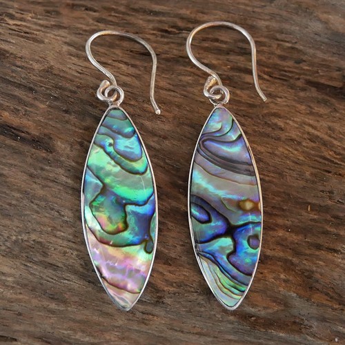 Reversible paua abalone - reversible,