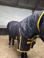 Requisite Turn Out Rug Horses Riding