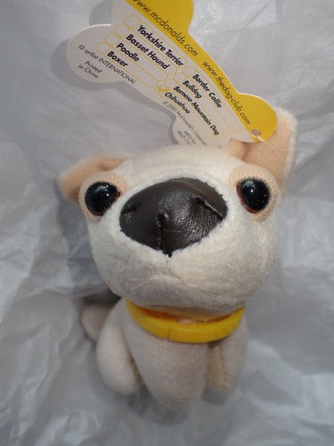 Mcdonalds the dog - dog, chihuahua