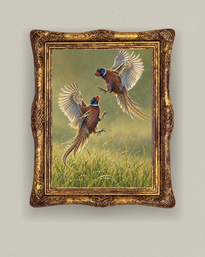 Pheasant pair flight - in,