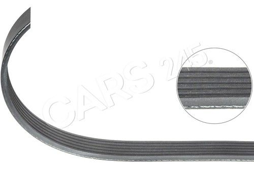 Ribbed belt topran - topran, fits