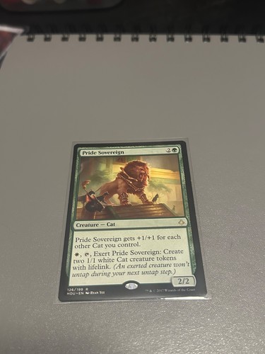 Mtg normal pride - lp-np,