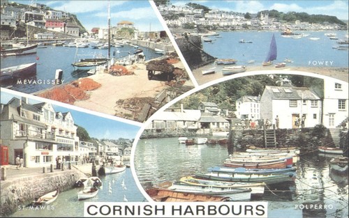 Salmon vintage postcard - j,