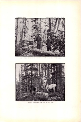 Choppers engelmann spruce - choppers,,