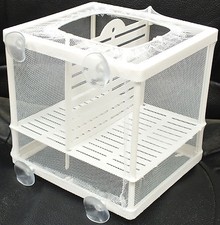 Aquarium fish tank guppy - aquarium,