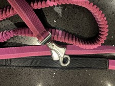 Ruffwear Roamer Bungee Dog Lead Purple