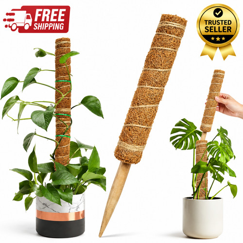 Moss pole extendable - moss,