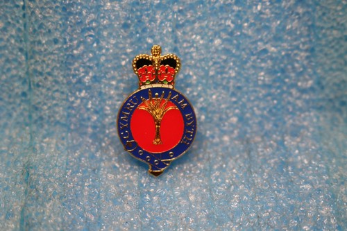 British army welsh guards pin - british,