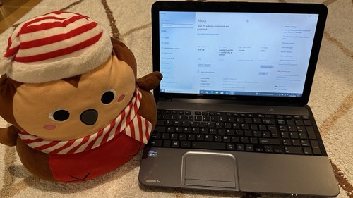 Toshiba satellite pro - toshiba,