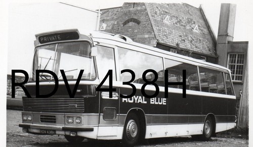 Royal blue 1303 - royal,