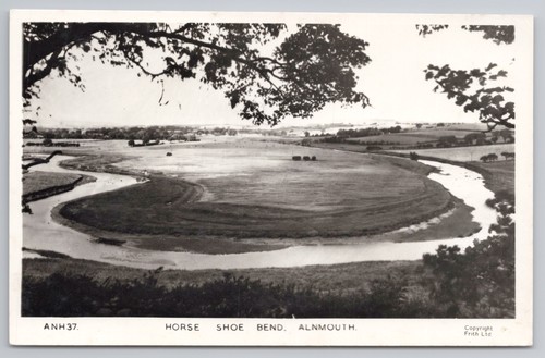 Rppc horse shoe bend - horse, alnmouth
