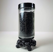 Ants in Jar, Curio Jar
