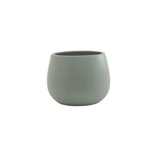 Ceramic Indoor Rounded Plant