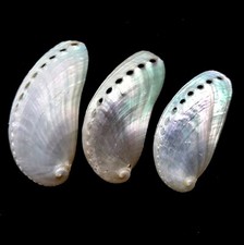 Pearl Slippers Pearlised