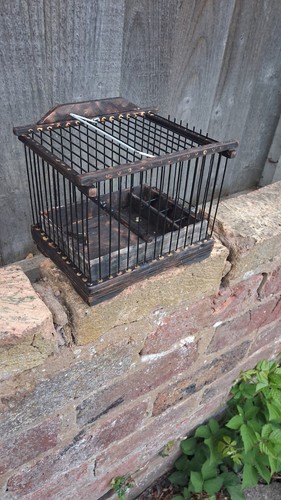 Goldfinch mule cage - mule, romany