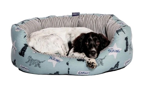 Battersea playful dogs - dogs, deluxe