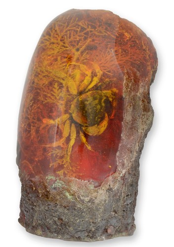Crab artificial amber - a,