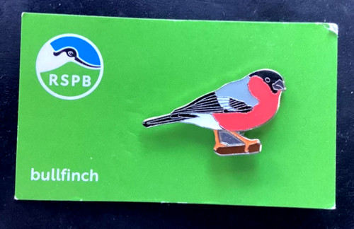 Rspb pin badge - rspb,