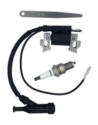 590603 196cc 208cc ignition - 590603,
