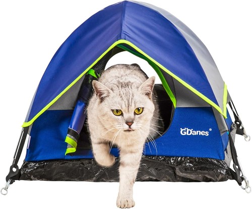 Blue cat tent large cave - blue, tent,