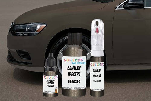 Touch paint for bentley - up,
