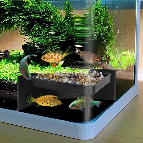 Underground aquarium cave with - underground,