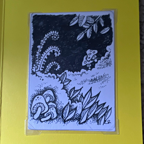 Zoe rhoden original signed - zoe,