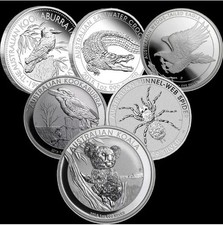 UK 1oz solid 0.99% silver coin