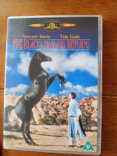 The black stallion - the,