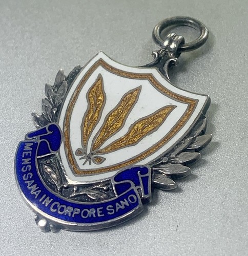 Football shield sterling - shield,