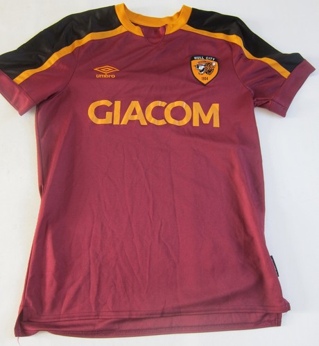 Hull city 2021 season - hull, fc