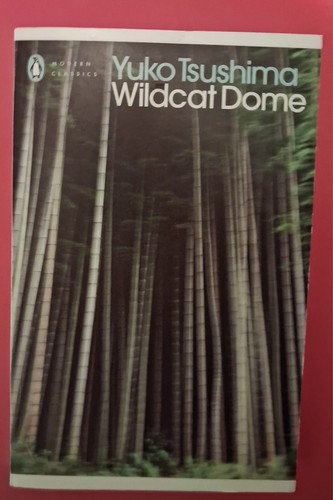 Wildcat dome yuko - wildcat,