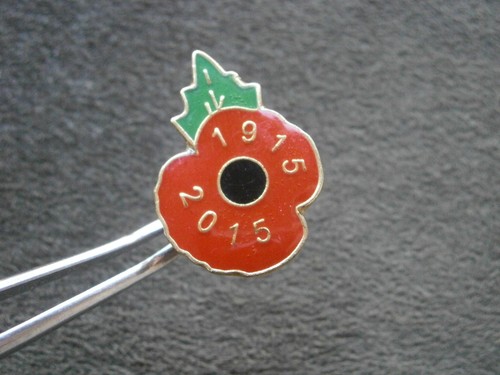 Veterans day poppy - poppy, ww