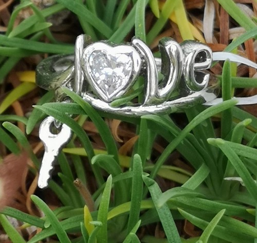 925 silver francis swarovski - silver,