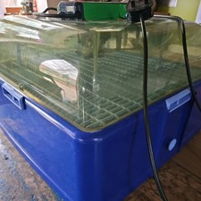 Corti 24 egg incubator fully