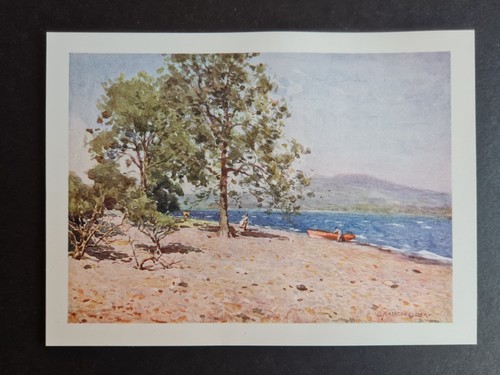Antique 1908 print breezy - -,