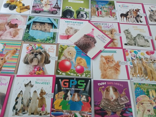 Pet pawtraits cards - pawtraits,