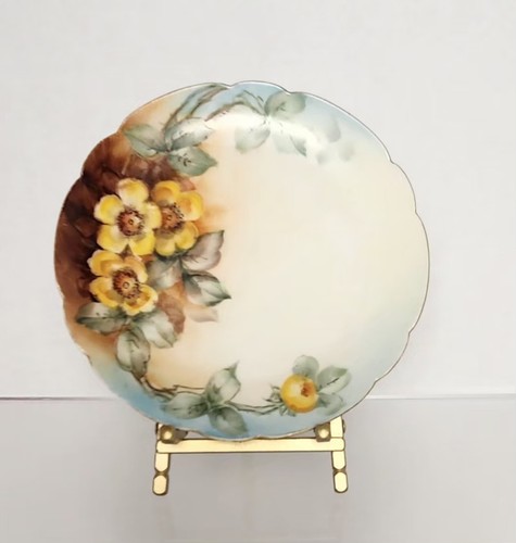 Antique haviland france - haviland,