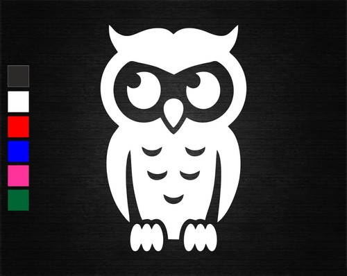 Owl bird animal - animal, nature