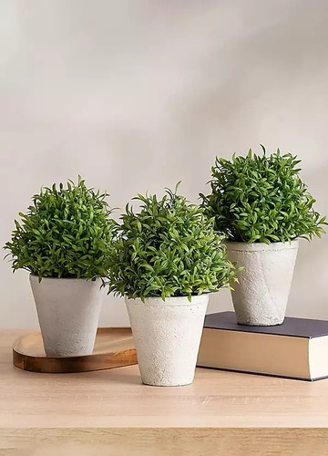 Set topiary plants in - of,