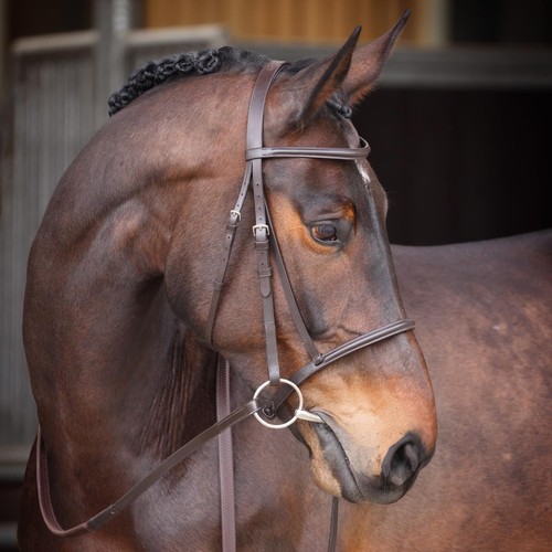 Shires velociti gara raised - velociti,